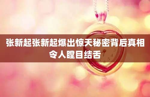 张新起张新起爆出惊天秘密背后真相令人瞠目结舌