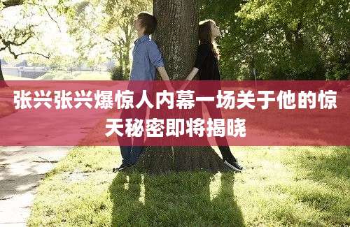 张兴张兴爆惊人内幕一场关于他的惊天秘密即将揭晓