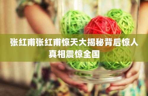 张红甫张红甫惊天大揭秘背后惊人真相震惊全国