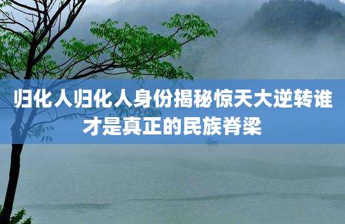 归化人归化人身份揭秘惊天大逆转谁才是真正的民族脊梁