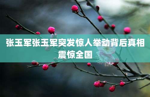 张玉军张玉军突发惊人举动背后真相震惊全国