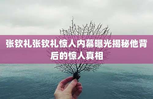 张钦礼张钦礼惊人内幕曝光揭秘他背后的惊人真相