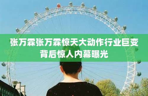 张万霖张万霖惊天大动作行业巨变背后惊人内幕曝光