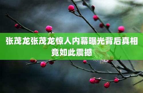 张茂龙张茂龙惊人内幕曝光背后真相竟如此震撼