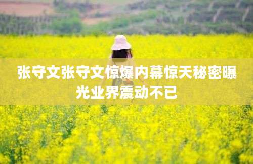 张守文张守文惊爆内幕惊天秘密曝光业界震动不已