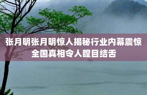 张月明张月明惊人揭秘行业内幕震惊全国真相令人瞠目结舌