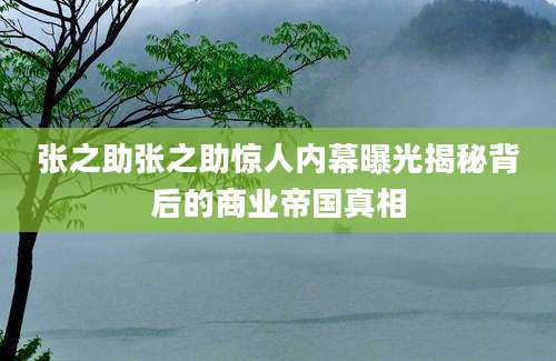 张之助张之助惊人内幕曝光揭秘背后的商业帝国真相