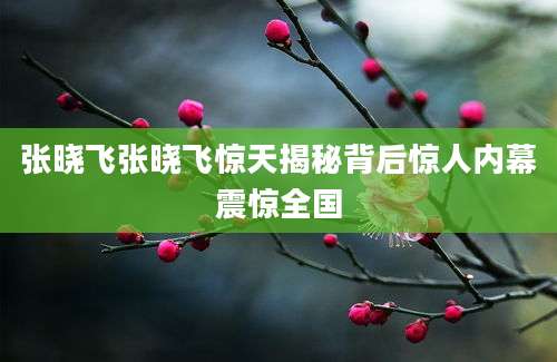 张晓飞张晓飞惊天揭秘背后惊人内幕震惊全国