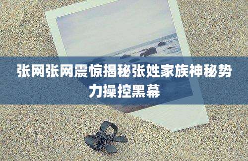 张网张网震惊揭秘张姓家族神秘势力操控黑幕