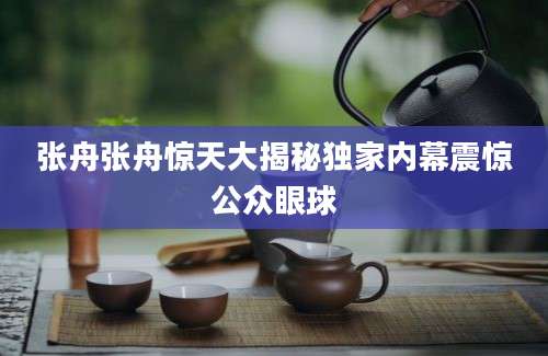 张舟张舟惊天大揭秘独家内幕震惊公众眼球