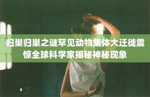 归巢归巢之谜罕见动物集体大迁徙震惊全球科学家揭秘神秘现象
