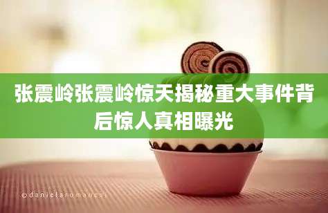 张震岭张震岭惊天揭秘重大事件背后惊人真相曝光