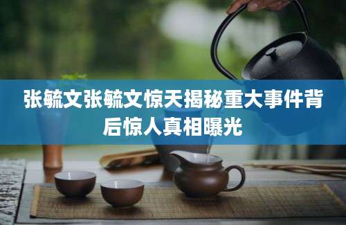 张毓文张毓文惊天揭秘重大事件背后惊人真相曝光