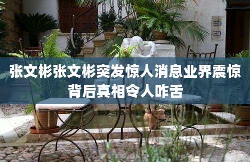 张文彬张文彬突发惊人消息业界震惊背后真相令人咋舌