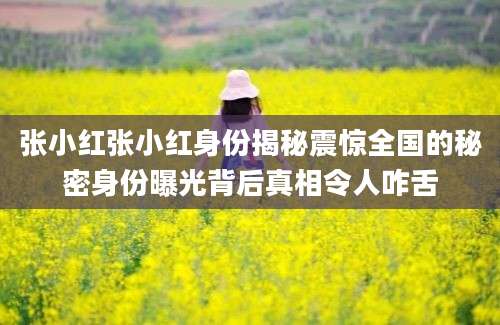 张小红张小红身份揭秘震惊全国的秘密身份曝光背后真相令人咋舌