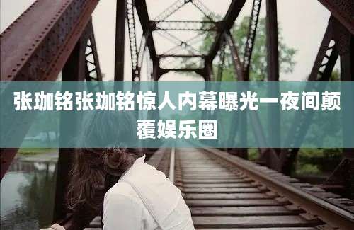 张珈铭张珈铭惊人内幕曝光一夜间颠覆娱乐圈