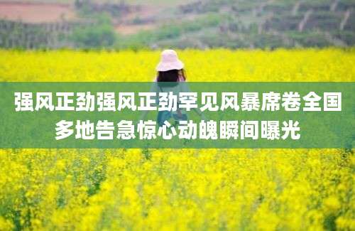 强风正劲强风正劲罕见风暴席卷全国多地告急惊心动魄瞬间曝光