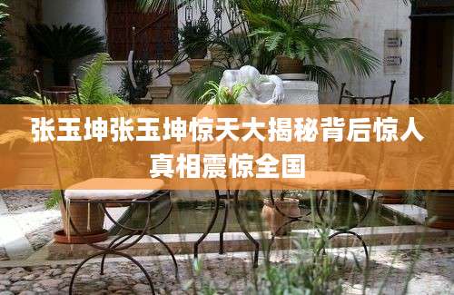 张玉坤张玉坤惊天大揭秘背后惊人真相震惊全国