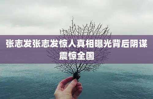 张志发张志发惊人真相曝光背后阴谋震惊全国