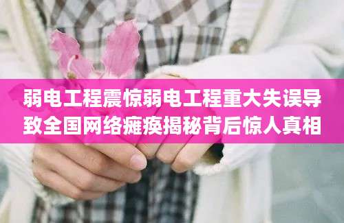 弱电工程震惊弱电工程重大失误导致全国网络瘫痪揭秘背后惊人真相