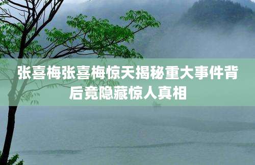 张喜梅张喜梅惊天揭秘重大事件背后竟隐藏惊人真相