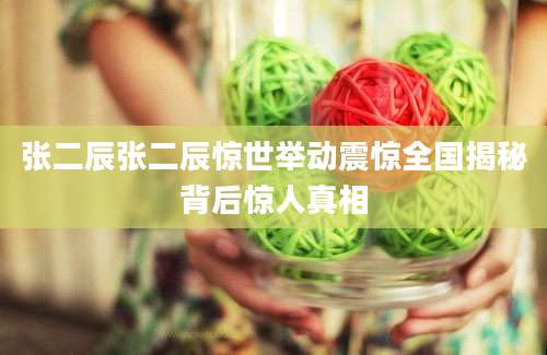 张二辰张二辰惊世举动震惊全国揭秘背后惊人真相