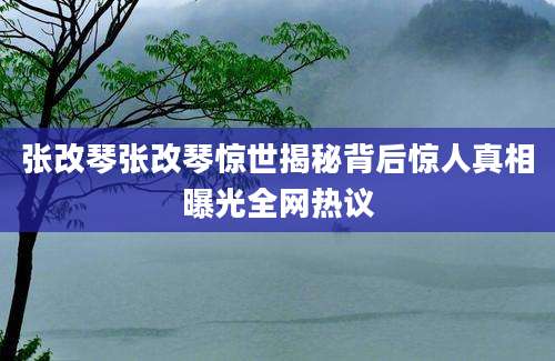 张改琴张改琴惊世揭秘背后惊人真相曝光全网热议