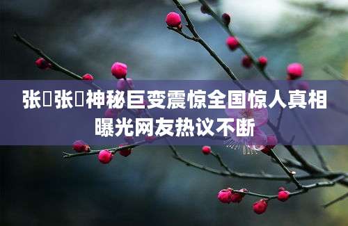 张愔张愔神秘巨变震惊全国惊人真相曝光网友热议不断
