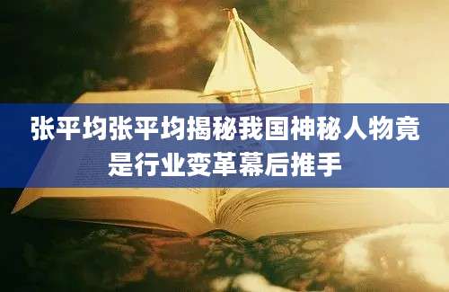 张平均张平均揭秘我国神秘人物竟是行业变革幕后推手