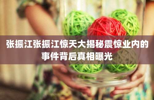 张振江张振江惊天大揭秘震惊业内的事件背后真相曝光