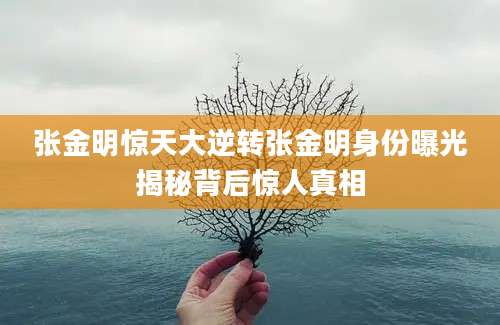 张金明惊天大逆转张金明身份曝光揭秘背后惊人真相