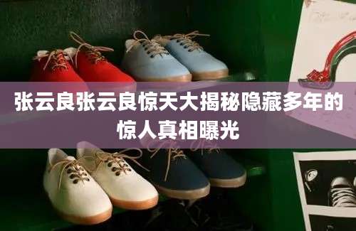 张云良张云良惊天大揭秘隐藏多年的惊人真相曝光