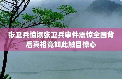 张卫兵惊爆张卫兵事件震惊全国背后真相竟如此触目惊心