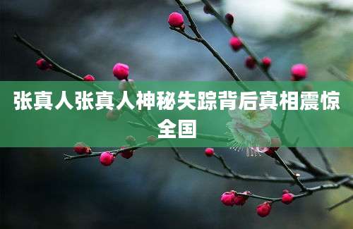 张真人张真人神秘失踪背后真相震惊全国