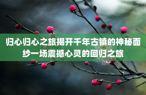 归心归心之旅揭开千年古镇的神秘面纱一场震撼心灵的回归之旅