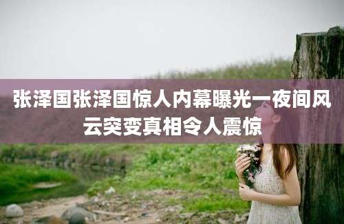 张泽国张泽国惊人内幕曝光一夜间风云突变真相令人震惊