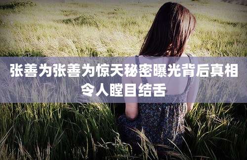 张善为张善为惊天秘密曝光背后真相令人瞠目结舌