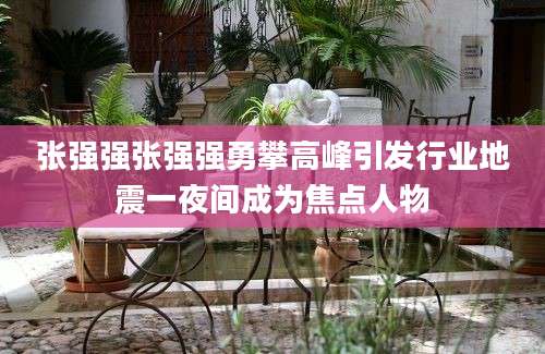 张强强张强强勇攀高峰引发行业地震一夜间成为焦点人物