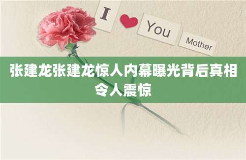 张建龙张建龙惊人内幕曝光背后真相令人震惊