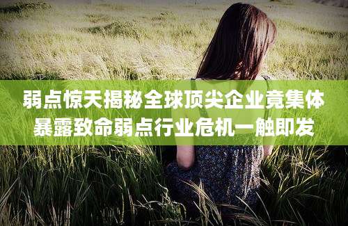 弱点惊天揭秘全球顶尖企业竟集体暴露致命弱点行业危机一触即发