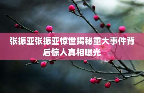 张振亚张振亚惊世揭秘重大事件背后惊人真相曝光