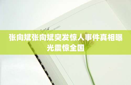 张向斌张向斌突发惊人事件真相曝光震惊全国