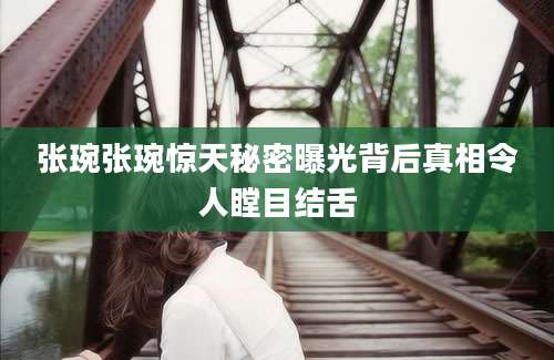 张琬张琬惊天秘密曝光背后真相令人瞠目结舌