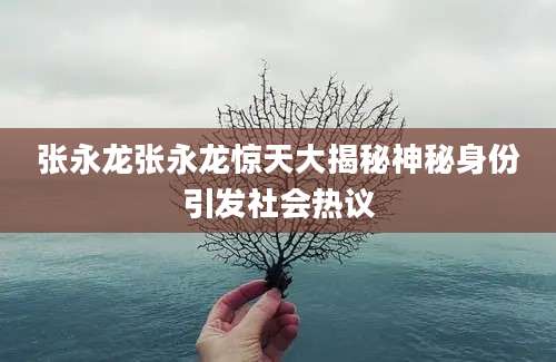 张永龙张永龙惊天大揭秘神秘身份引发社会热议