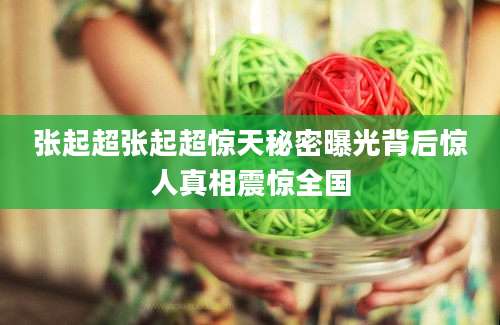 张起超张起超惊天秘密曝光背后惊人真相震惊全国