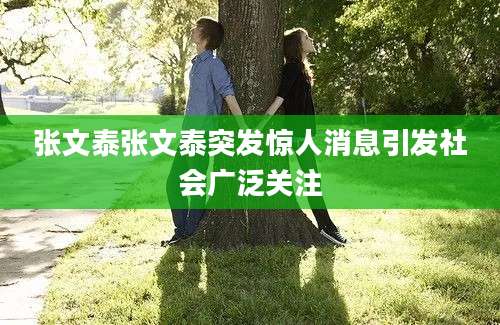 张文泰张文泰突发惊人消息引发社会广泛关注