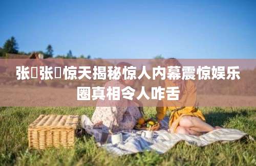 张嫚张嫚惊天揭秘惊人内幕震惊娱乐圈真相令人咋舌