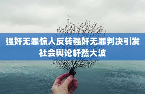 强奸无罪惊人反转强奸无罪判决引发社会舆论轩然大波