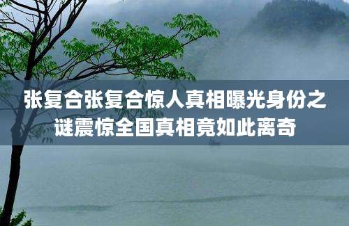 张复合张复合惊人真相曝光身份之谜震惊全国真相竟如此离奇
