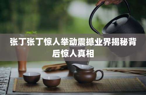 张丁张丁惊人举动震撼业界揭秘背后惊人真相